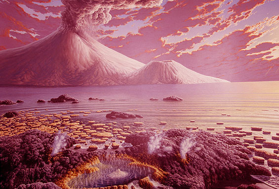 Can Life Evolve From a Different Chemical Code?